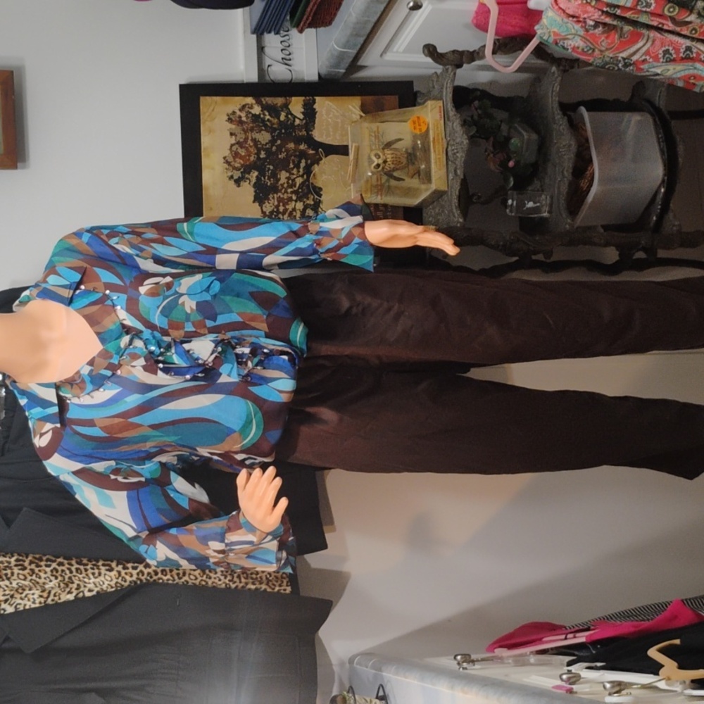 Bay Studio Multicolor Blouse and Brown Mountain Lake Pants